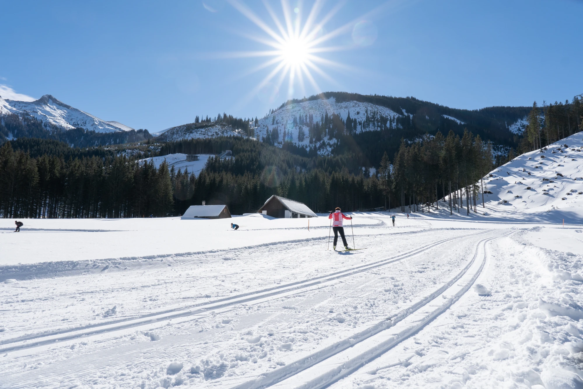 Personen beim Skifahren und Langlaufen